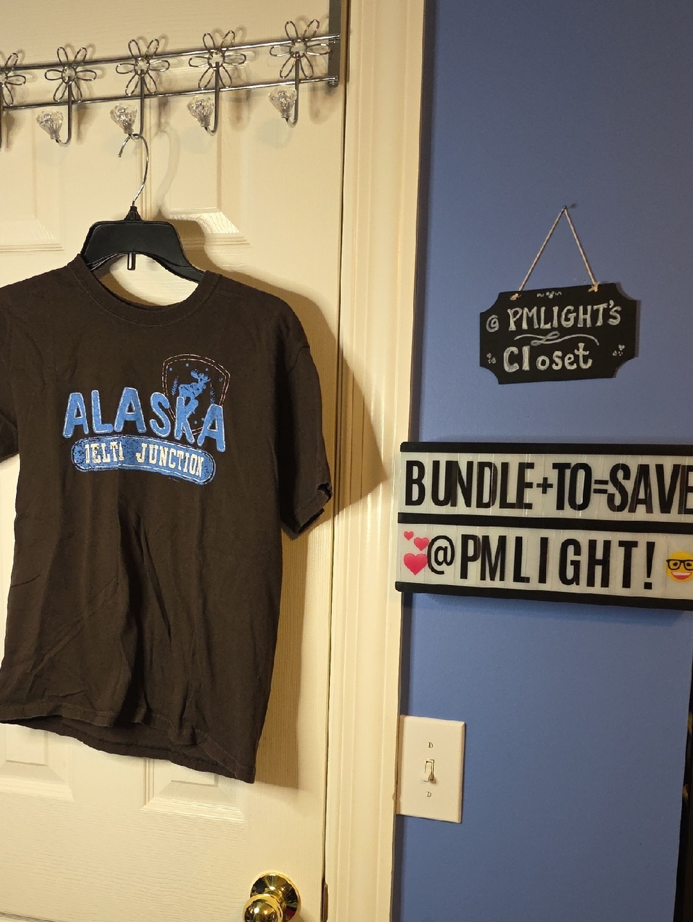 Alaska Delta Junction Graphic Tee Brown Blue Youth Large Short Sleeve
